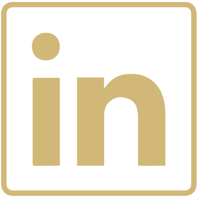 icon linkedin